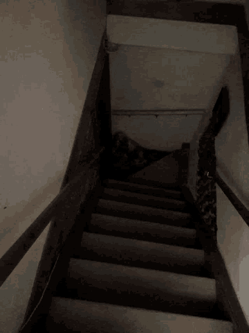 https://media.tenor.com/MSfXd5YH-VgAAAAd/stairs-wooden-stairs.gif