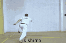 Capoeira Ginga GIF
