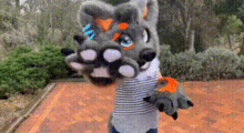 Cruise The Dingo Dingo GIF - Cruise The Dingo Dingo Lupesuit GIFs