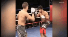 Tap Out Martial Arts GIF - Tap Out Martial Arts Fight GIFs