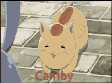Camby Camby Nation GIF