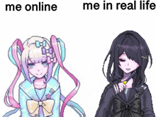 a pixel art of a girl with the words me online me in real life