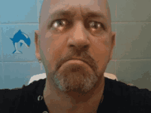 a bald man with a beard is making a funny face in front of a dolphin wall sticker