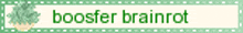 Boosfer Brainrot GIF - Boosfer Brainrot Green GIFs