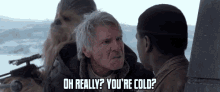 Cold Han Solo GIF - Cold Han Solo Chewbacca GIFs