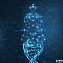 a 3d cube with a picture of a person and a dna molecule on it