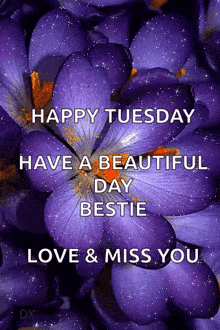 a picture of purple flowers with the words `` happy tuesday have a beautiful day bestie love & miss you ''