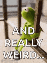 kermit the frog is sitting on a railing holding a piece of wood and saying `` and really weird ... '' .