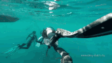 Scuba Diving Diving GIF - Scuba Diving Diving Lets Go GIFs