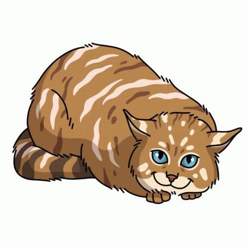 Wild Cat Chinese Desert Cat Sticker - Wild Cat Chinese Desert Cat Grass Cat  - Discover & Share GIFs