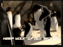 Surfs Up Hit GIF - Surfs Up Hit Keep Your Girlfriend Out Of This GIFs