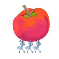 three ants are carrying a large apple on their heads