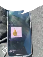 a phone with a picture of a pear on the screen says i lovelucki today at 11:51 am