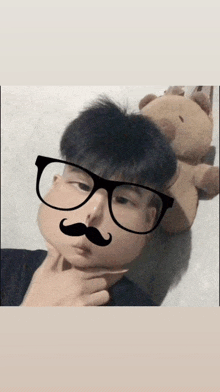 a boy wearing glasses and a fake mustache looks at the camera