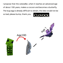 a drawing of a caterpillar and a butterfly that says clovock on the bottom