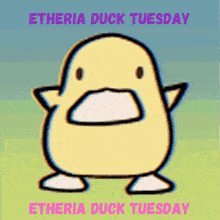 a cartoon of a duck that says ' etheria duck tuesday ' on the bottom