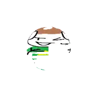 a cartoon of a person wearing a green shirt with a yellow triangle on it