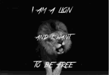 Lion Free GIF - Lion Free GIFs