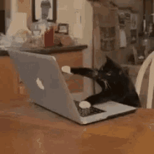 Tô Aqui Anotando Tudo Gatinho GIF - Cat Writing Typing GIFs