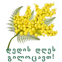 a bunch of yellow flowers with green leaves on a white background with a foreign language written on it
