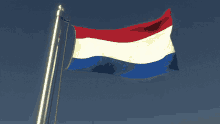 Netherlands Flag GIF - Netherlands Flag Flag Waver GIFs