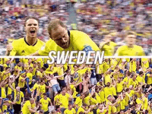 Sweden World Cup GIF