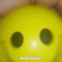 Hello Sunny Glaggle GIF - Hello Sunny Glaggle GIFs
