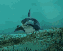 Shark Tale Frankie GIF