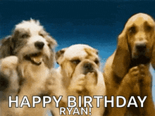 Dogs Party GIF