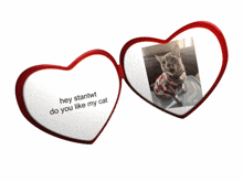 a pair of heart shaped glasses with a picture of a cat on them
