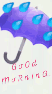 good morning rainy day umbrella