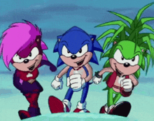 Sonic The Hedgehog Sonia The Hedgehog GIF - Sonic The Hedgehog Sonia The Hedgehog Manic The Hedgehog GIFs