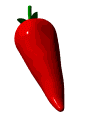 Chili Red Chili Sticker