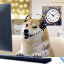 Doge Call GIF - Doge Call Phone GIFs