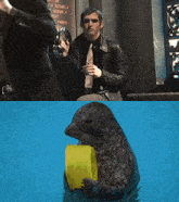 a seal holding a yellow bucket in its mouth