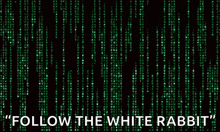 a matrix background with the words " follow the white rabbit " on it