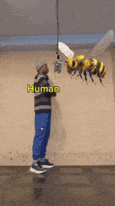 a man is standing next to a microphone with a bee flying in the background and the word human on the bottom right