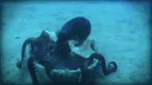Abort GIF - Abort Octopus Abort Mission GIFs