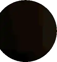 a black circle on a white background with a shadow on it
