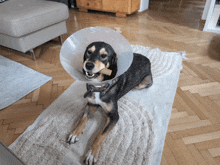 a dog wearing a cone on its head is laying on a rug
