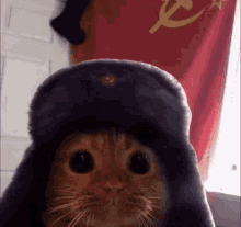 Communism Communist GIF - Communism Communist Communist Cat GIFs