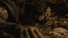 The Last Of Us Tv Series GIF - The Last Of Us Tv Series Infected GIFs