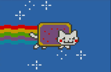 Cat Rainbow GIF - Cat Rainbow Fly GIFs