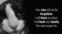 a black and white photo of a cat with a quote below it