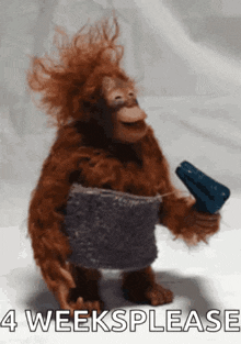 a stuffed monkey is holding a hair dryer and a stapler with the words 4 weeks please on the bottom