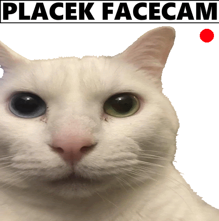 Placek Placek Facecam Sticker - Placek Placek Facecam Facecam Stickers