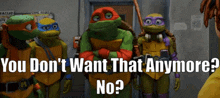 Tmnt Raphael GIF - Tmnt Raphael You Dont Want That Anymore GIFs