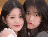 two young girls are posing for a picture together and making faces .