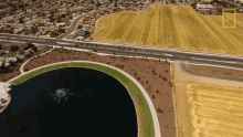 Platation Agriculture Plant GIF