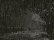 Rain Raining GIF